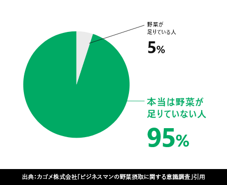 野菜不足