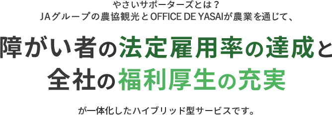 障がい者の法定雇用率の達成と全社の福利厚生の充実